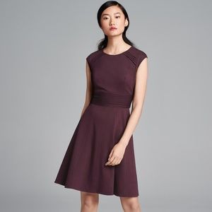 NWT!!  Eliza J ~ Fit and Flare Dress